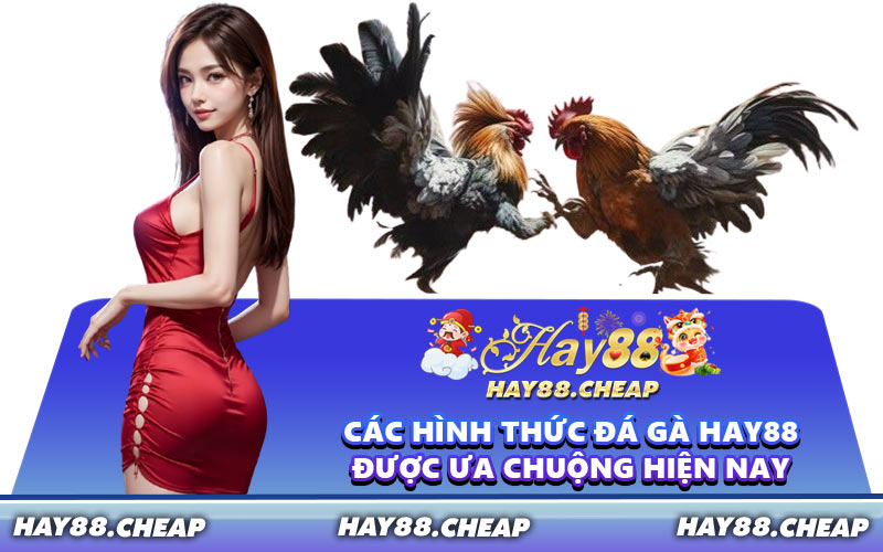 Các Hình Thức Đá Gà HAY88 Được Ưa Chuộng Hiện Nay