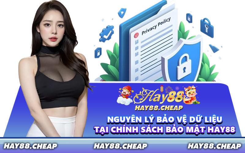 Nguyên Lý Bảo Vệ Dữ Liệu Tại Chính Sách Bảo Mật HAY88