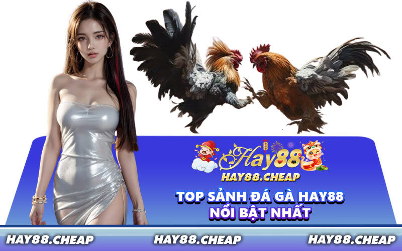 Top Sảnh Đá Gà HAY88 Nổi Bật Nhất